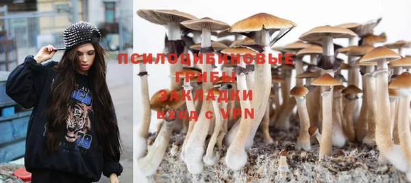 MDMA Premium VHQ Приозерск