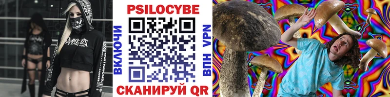 Галлюциногенные грибы Psilocybine cubensis  MEGA ONION  Шилка  где купить наркотик 