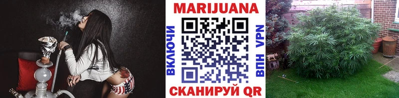 Бошки марихуана Ganja  закладка  Шилка 